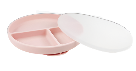 Suction Plate (with Lid)